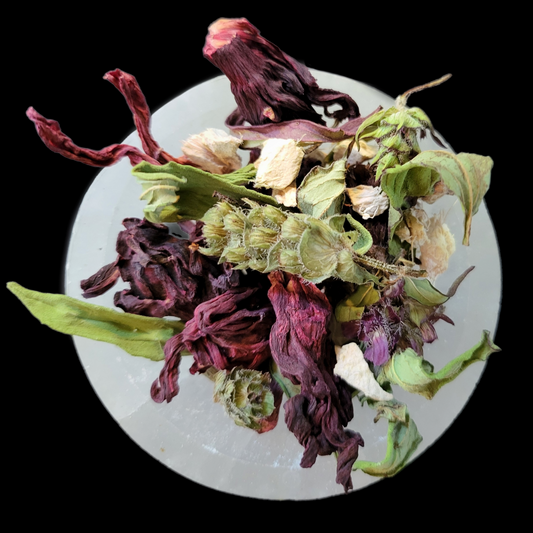 Mountain Mama Immune Support Tea